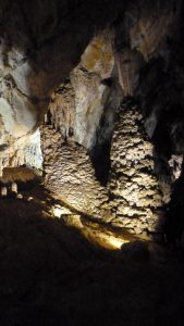 Stalactites, stalagmites, draperies, concrétions en chou-fleur comme ici donnent un intérêt évident à la découverte de cette grotte (© Pierre Nouvelle).