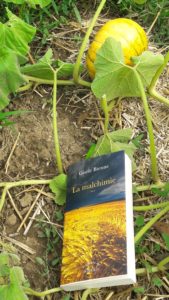 Un roman; témoignage de la nuisance extrême des produits phytosanitaires pour la santé de l'homme ( © JPierre Nouvelle )
