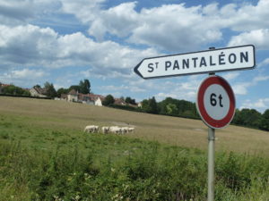 A Saint-Pantaléon, un des quartiers d'Autun (Saône-et-Loire), derrière les champs et les vaches charolaises, on peut dénicher des trouvailles archéologiques ( © Pierre Nouvelle ).